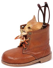 catandglassesinworkboot